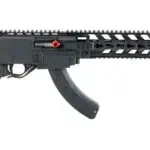 Ruger 1022 chassis