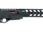 Ruger 1022 Chassis