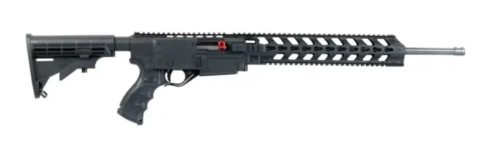 Ruger 1022 Chassis