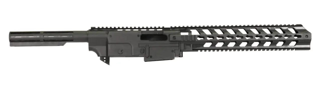 Gungner ruger 1022 chassis