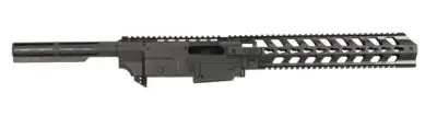 Gungner ruger 1022 chassis