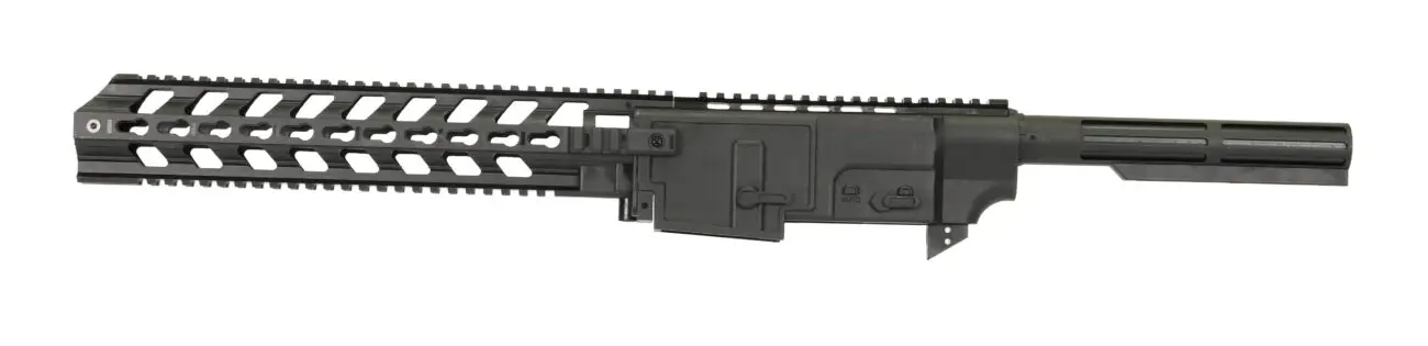 Gungner ruger 1022 chassis
