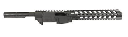RUGER 1022 CHASSIS