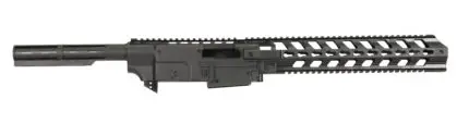 RUGER 1022 CHASSIS