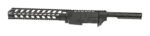 Ruger 1022 chassis