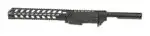 Ruger 1022 chassis