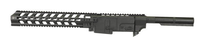 Ruger 1022 chassis