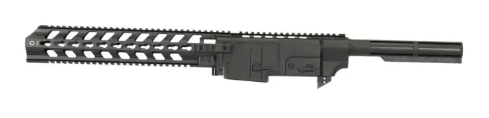 Ruger 1022 chassis