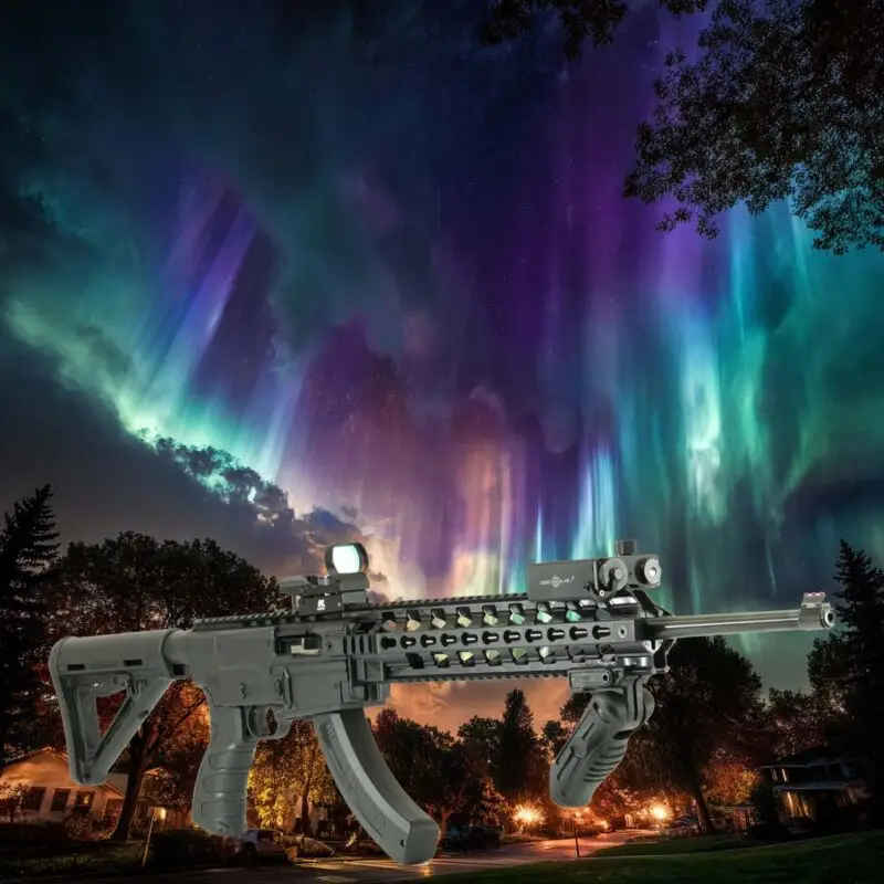 Ruger 1022 Chassis