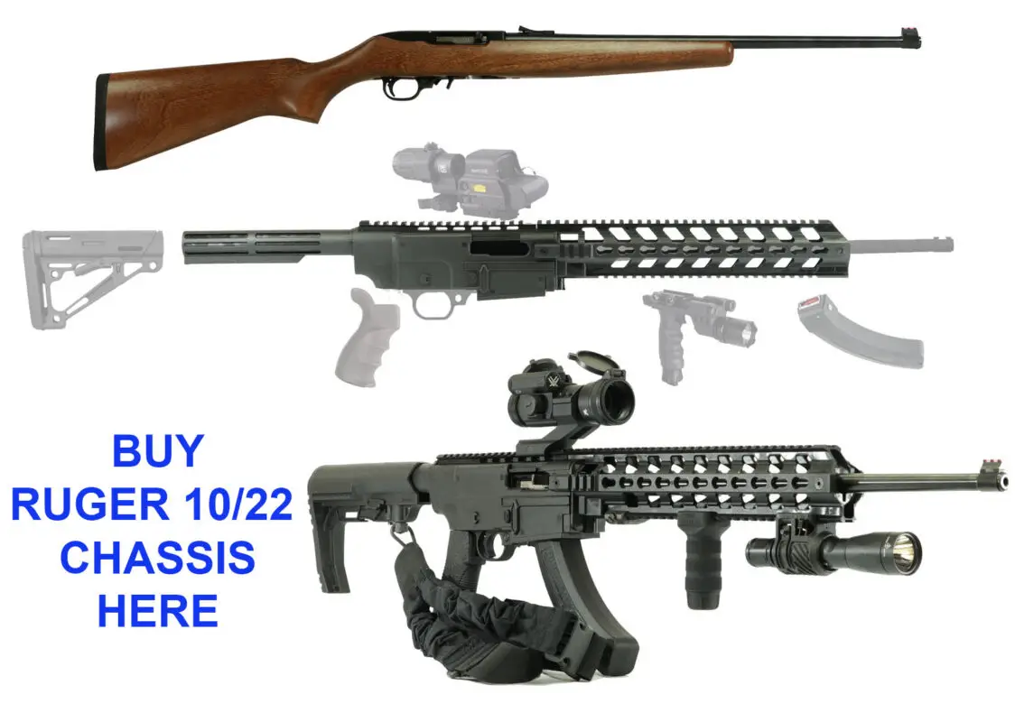 Ruger 1022 Chassis