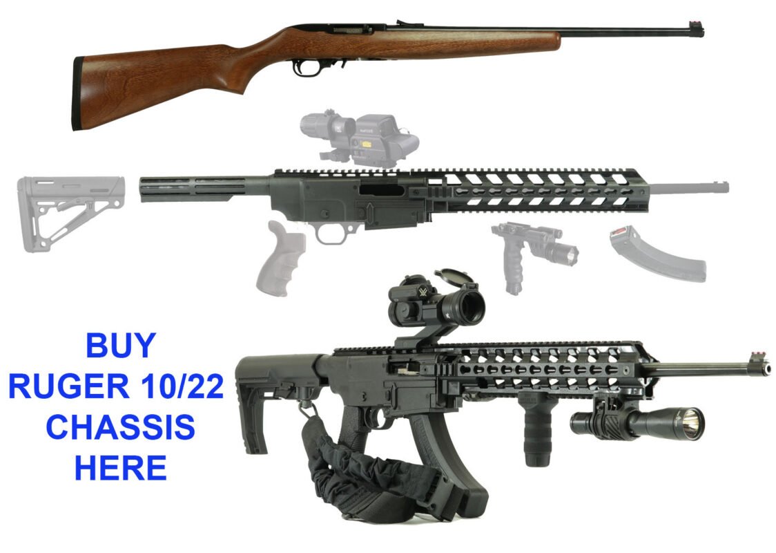 Ruger 10/22 chassis
