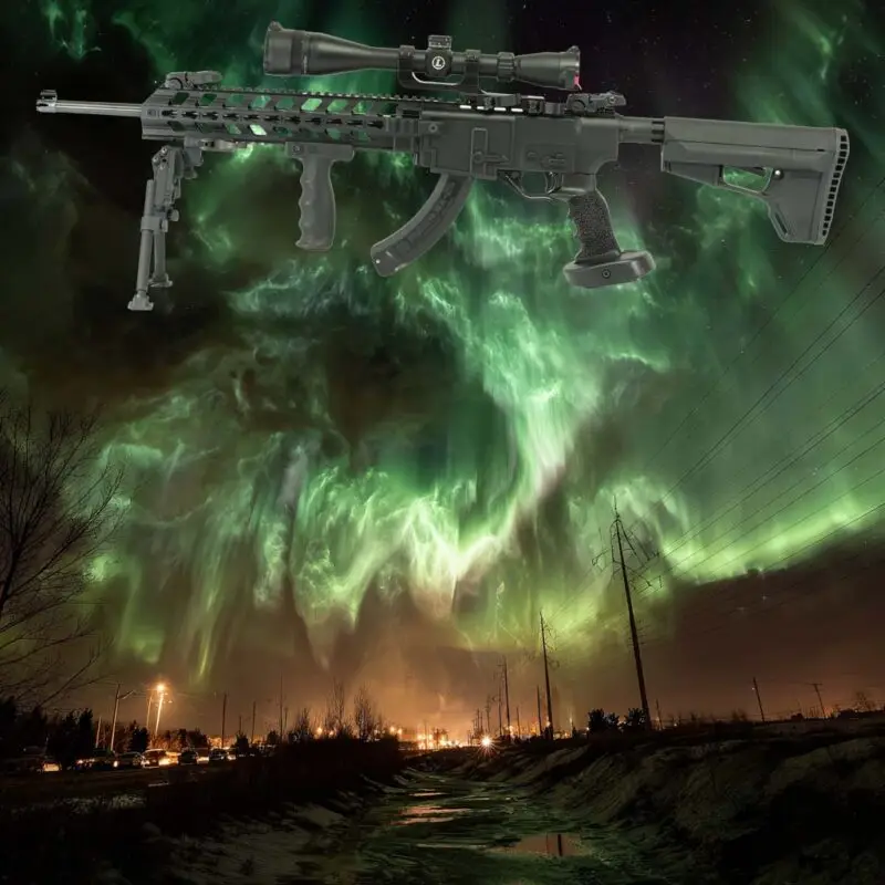 ruger 1022 chassis