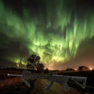 ruger 1022 chassis
