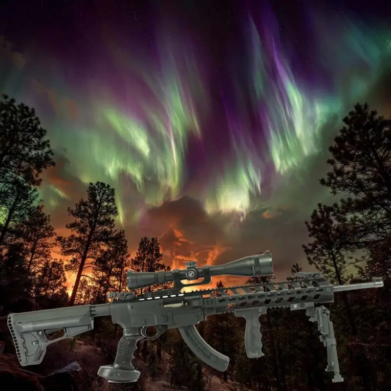 ruger 1022 tactical chassis