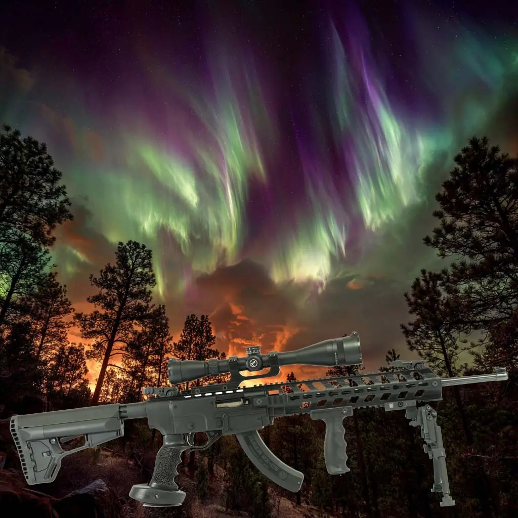 ruger 1022 tactical chassis