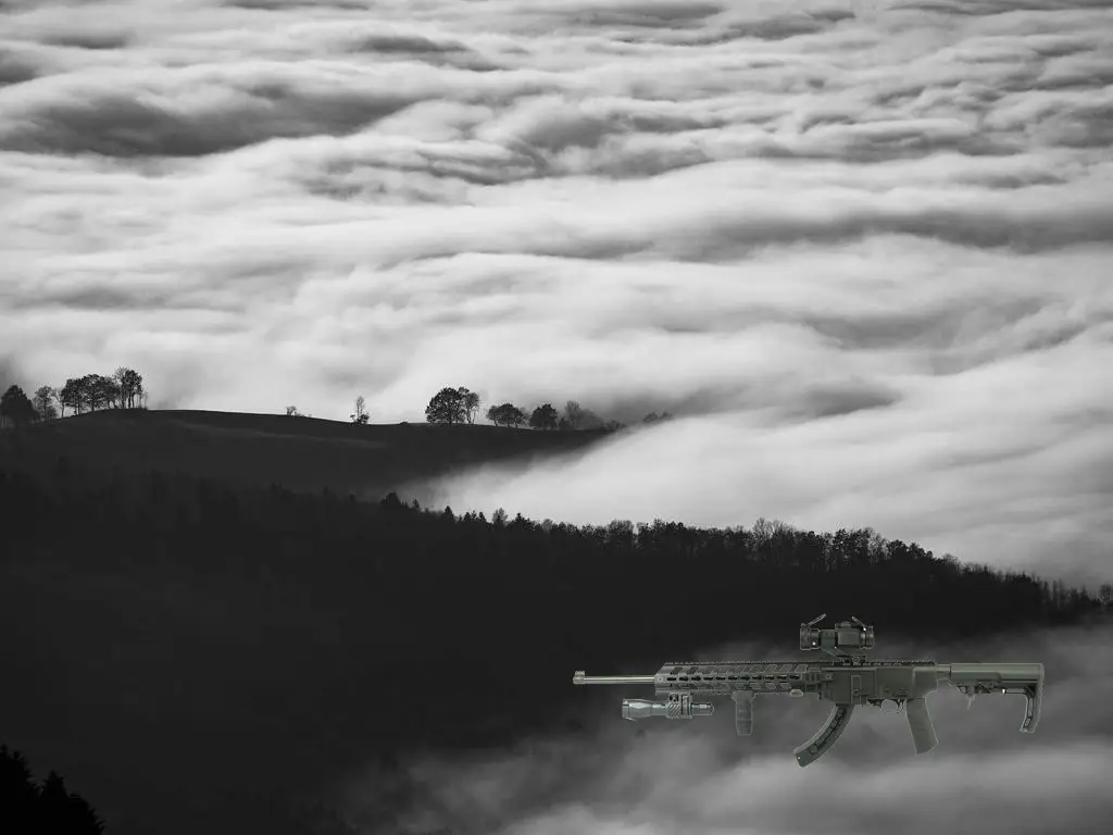 Ruger 10/22 tactical chassis