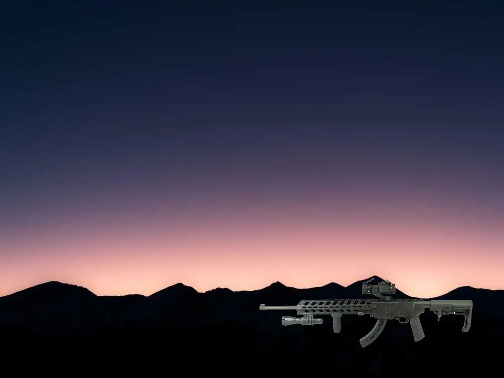 Ruger 10/22 tactical chassis