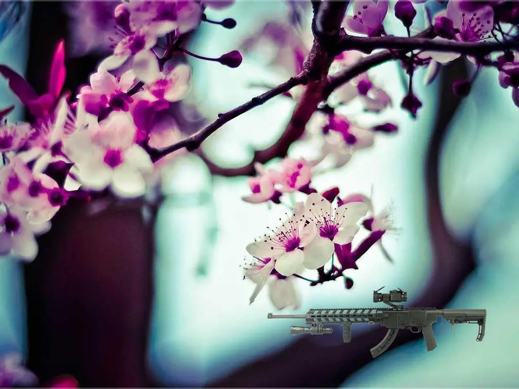 Ruger 10/22 tactical chassis