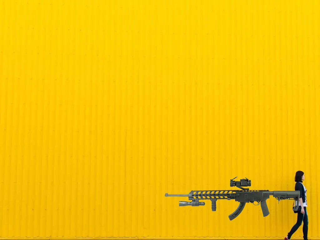 Ruger 10/22 tactical chassis