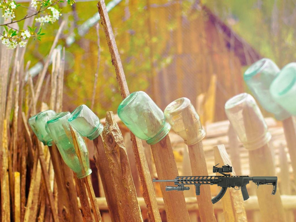 Ruger 10/22 tactical stock