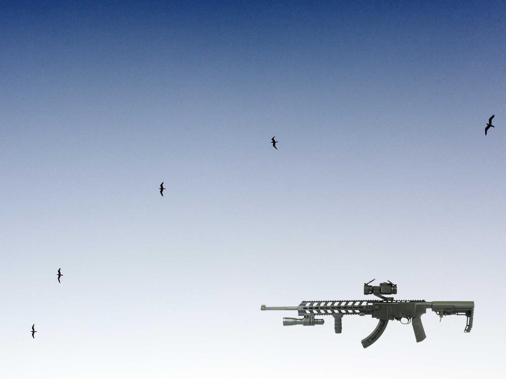 Ruger 10/22 tactical stock