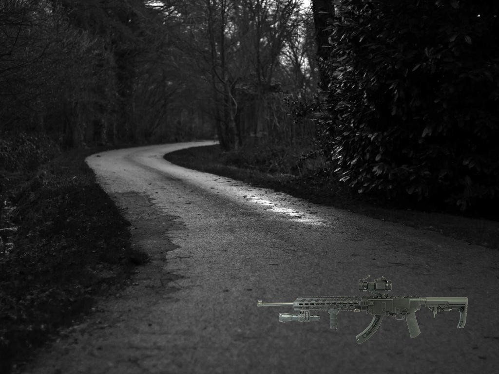 Ruger 10/22 Tactical stock