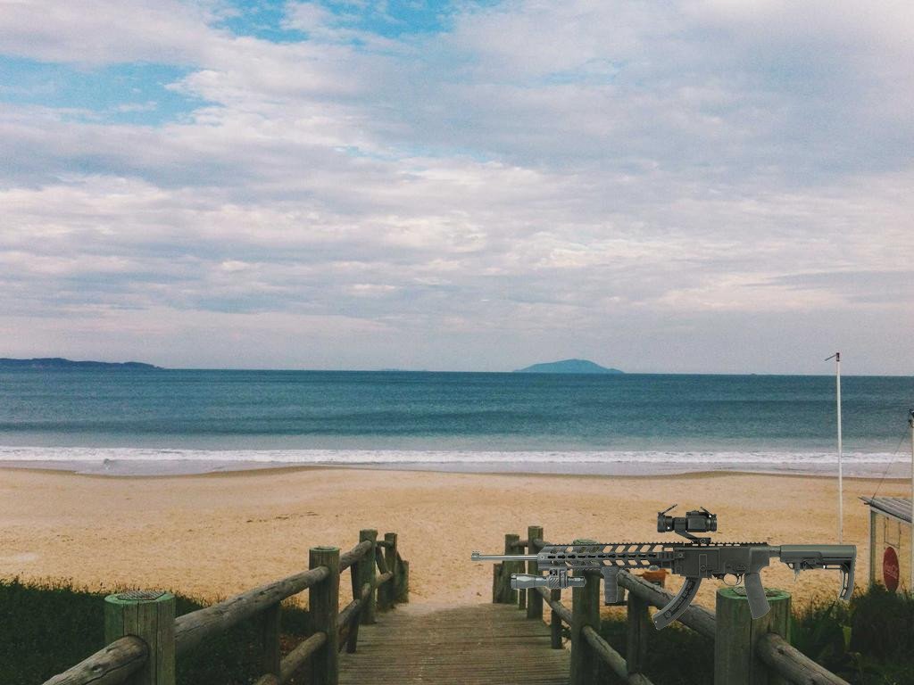 Ruger 10/22 tactical stock