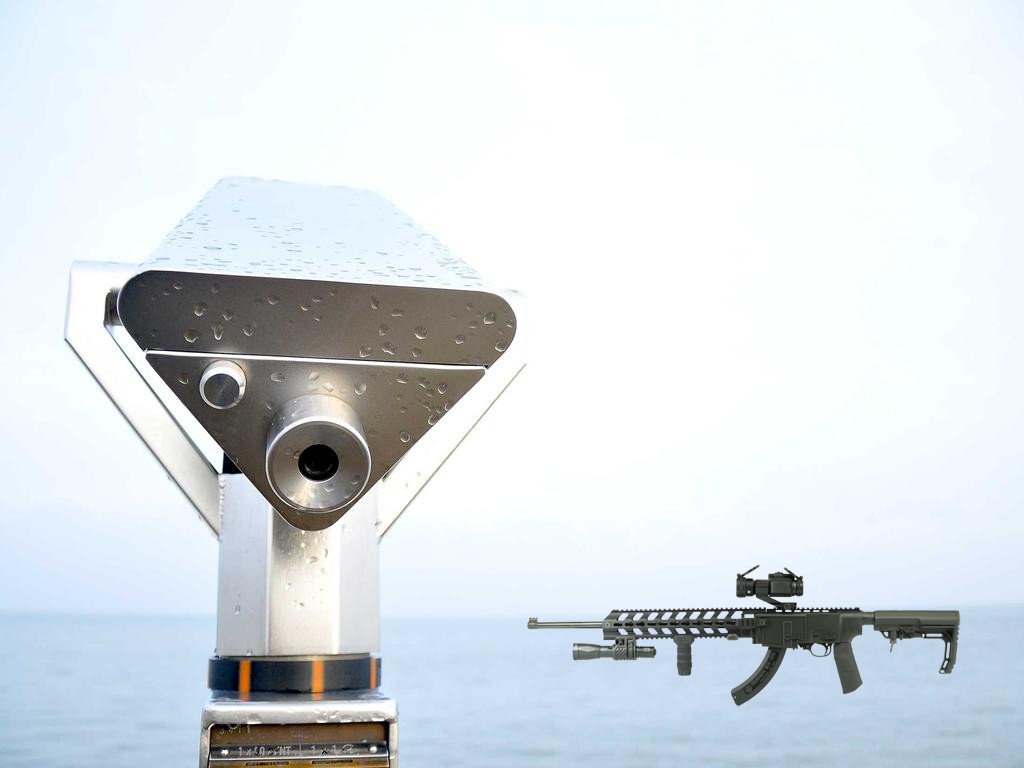 Ruger 10/22 tactical stock