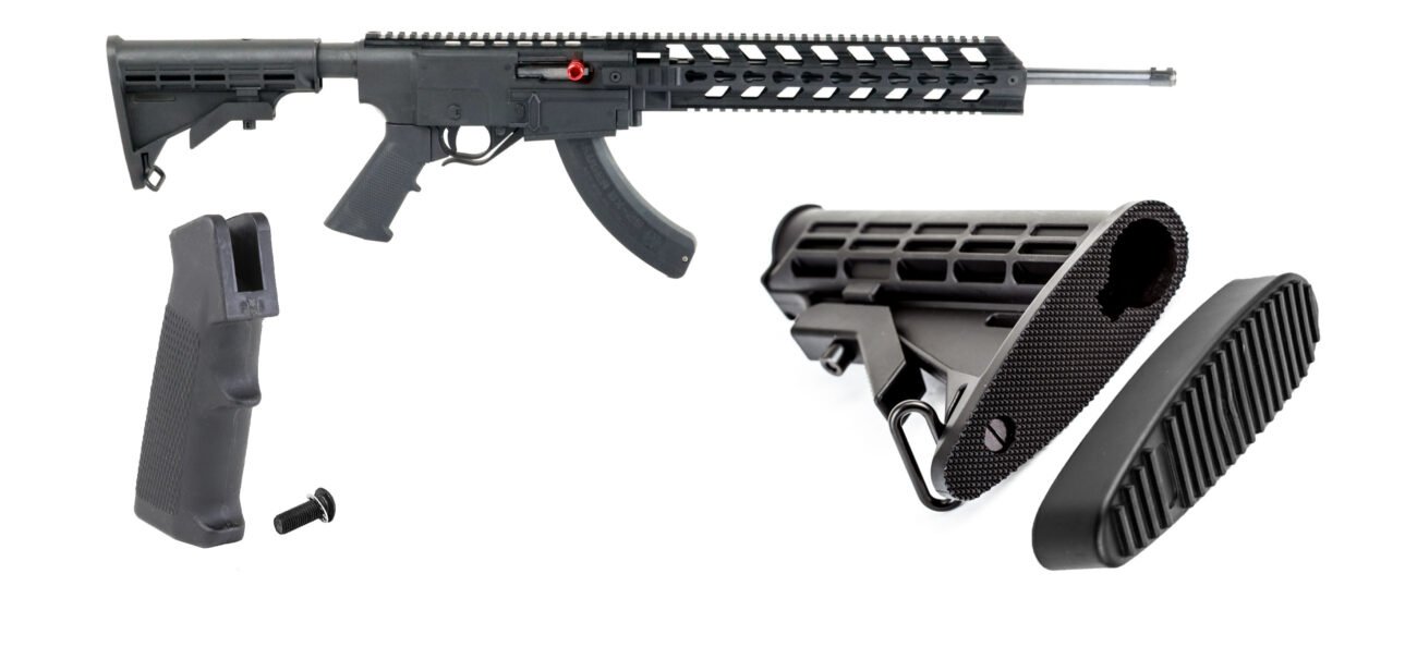 Ruger 1022 Chassis
