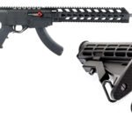 Ruger 1022 Chassis