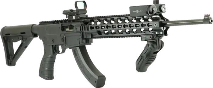 ruger 1022 chassis
